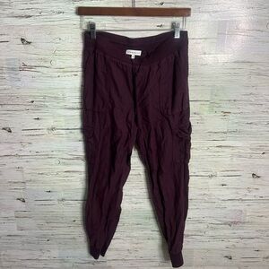 Aritzia Community Cebu Pant Lightweight  Joggers purple xxs